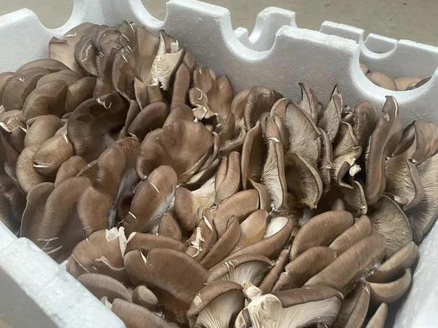 延安农产品物流园节前市场供需两旺蔬菜鲜肉火爆热销
